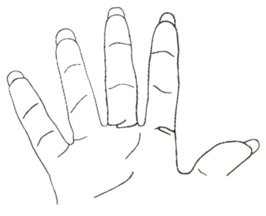 7.	Со стороны ладони. Все  ногти должны быть равной длины и согласовываться с формой пальцев. 